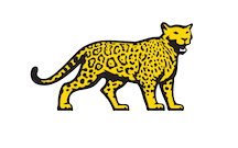 Lee más sobre el artículo Rugby: MUCHA ACTIVIDAD PARA LOS EQUIPOS DEL AMERICAN RUGBY CHAMPIONSHIP